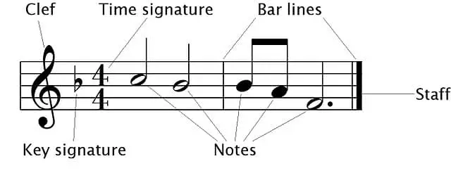 Parts of a music staff, time signature, key signature, etc.