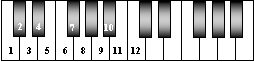 12 tone series