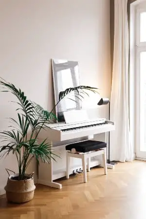 How to buy piano: White Digital Piano