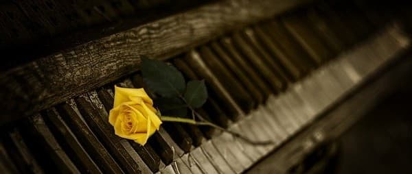 Old piano with yellow rose