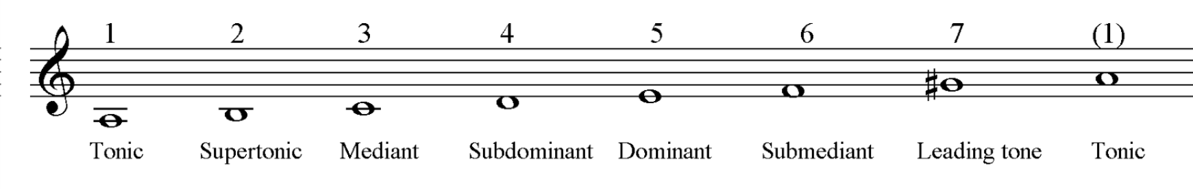 Scale degree names in minor
