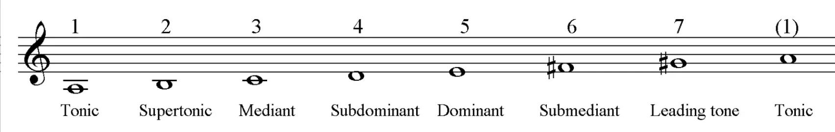 Scale degree names in minor