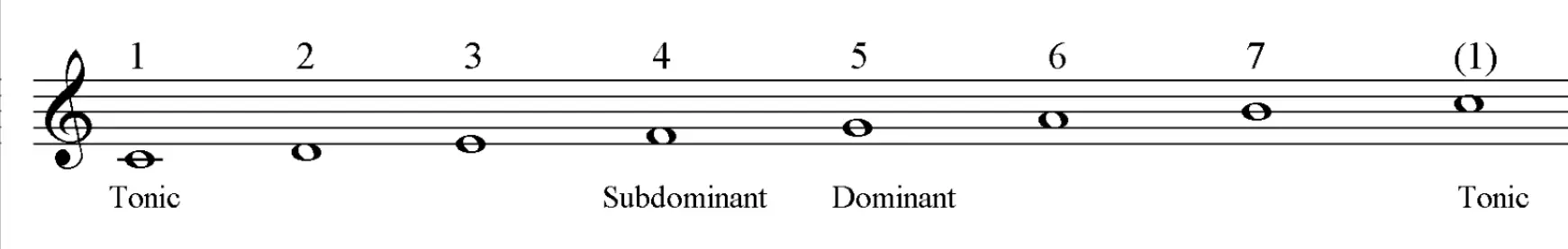 Scale degree names: Tonic, Subdominant and Dominant.
